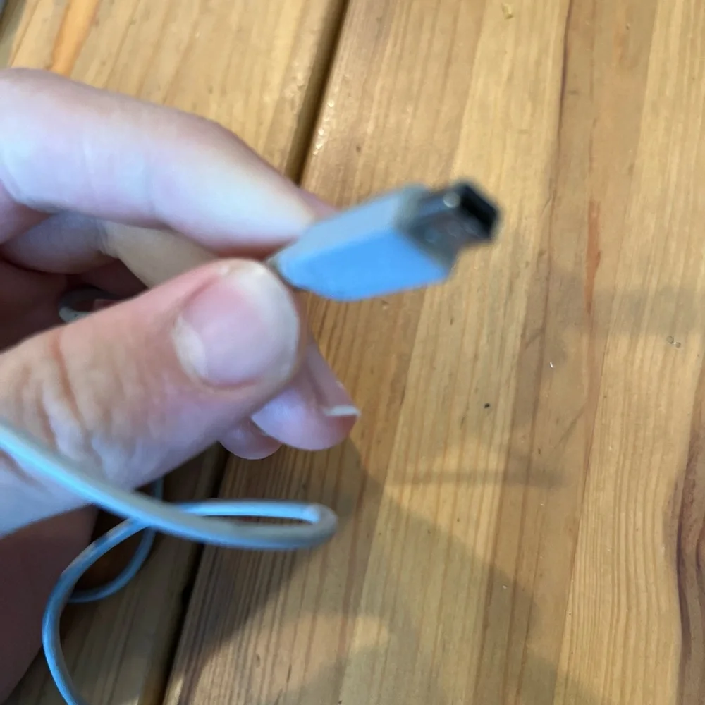 Nintendo 3DS charger